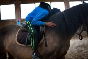 Equine Assisted Therapy Aids Addiction Treatment
