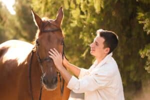 Equine Therapy and Behavioral Health Portland Maine