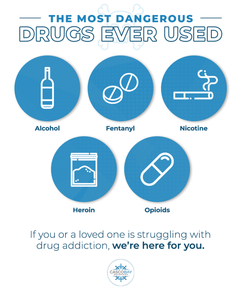 Most Dangerous Drugs in the World Casco Bay Maine