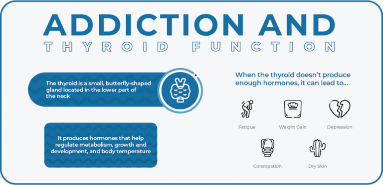 The Link Between Alcohol and Hypothyroidism - Casco Bay - ME