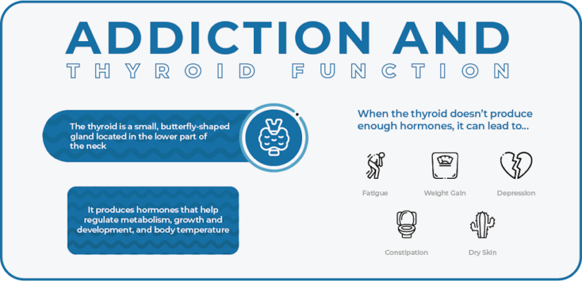 The Link Between Alcohol and Hypothyroidism - Casco Bay - ME
