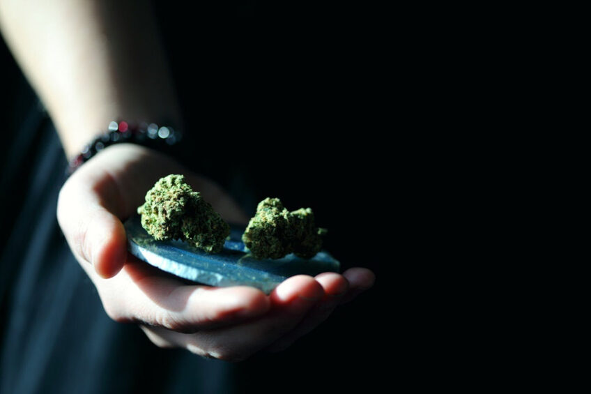Is Cannabis Addictive Physically and Psychologically?